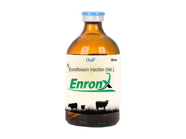 Enronx